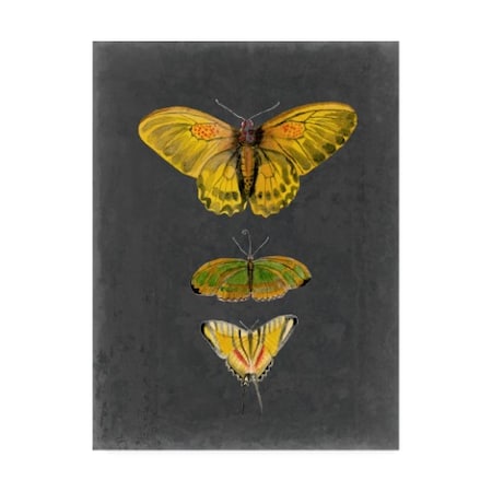 Naomi Mccavitt 'Butterflies On Slate I' Canvas Art,24x32